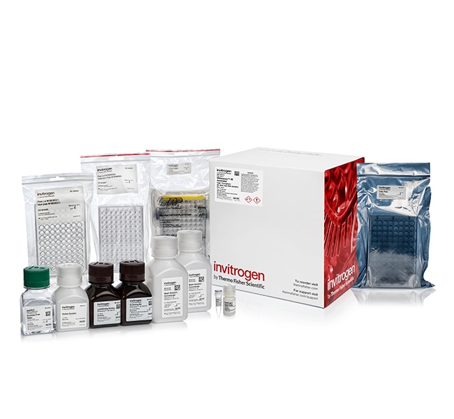 Ambion® RNAqueous®-96 Automated Kit, 384